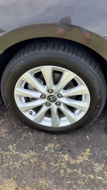 Wheel and tire dressing close-up